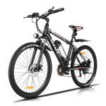 Professional 21 Speed Electric Bike Electric Bicycle for Adults