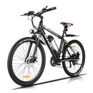 Professional 21 Speed Electric Bike Electric Bicycle for Adults