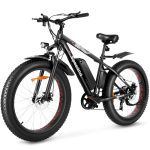 Electric Beach Bike Fat Tire Electric Bike Powerful Motor