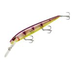Smithwick Top 20 Rogue Fishing Terminal Tackle