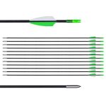 Training Arrows-Archery Practice Target Arrows with Durable Shaft