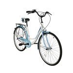 Complete Cruiser Bike with Portable Basket