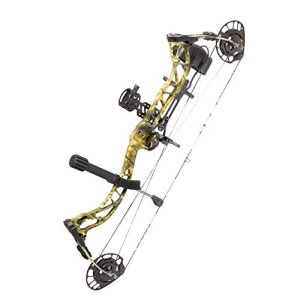 Right Hand Compound Bow-Hunting-Set-Arrow