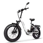Adult Folding Fat Tire E-Bike Mountain Electric Bicycle