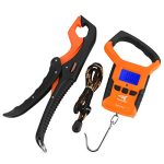 Retractable Water Resistant Digital Scale with Ruler