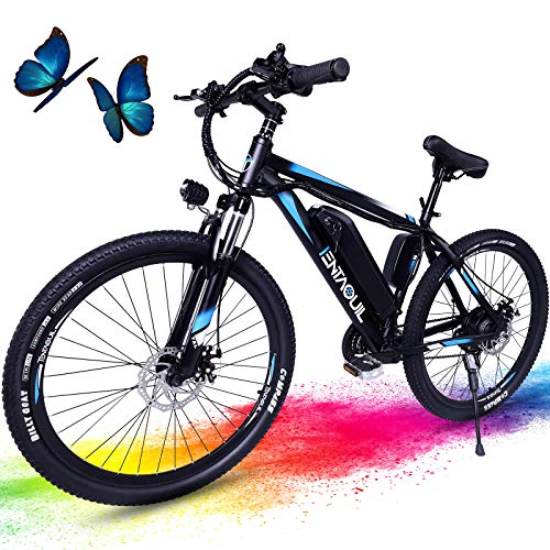 26'' Electric Bicycle for Adults with Removable 36V Battery