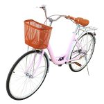 Cruiser Bike Classic Iron Frame Retro Bicycle