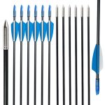 TOPOINT ARCHERY 30 Training Arrows