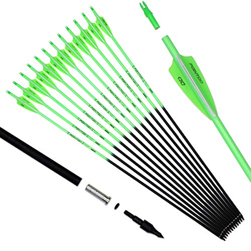 Hunting Practice Arrows Fluorescence Color Targeting