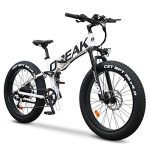 Foldable Electric Bike 750W High Speed Motor