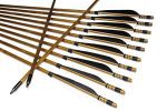 TTAD 12pcs Parabolic 5" Black White Fletching Bamboo Arrows