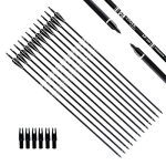 Arrow Practice Hunting Arrows with Removable Tips