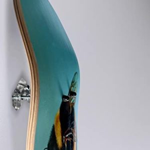 Elevate Your Skateboard Display with Skateptych Skateboard Wall Mount