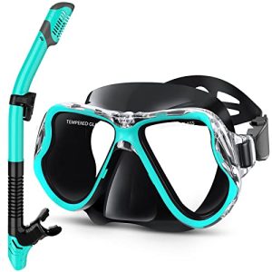 Professional Snorkeling Gear: Dry Snorkel Set with Wide View and Anti-Fog Scuba Diving Mask.