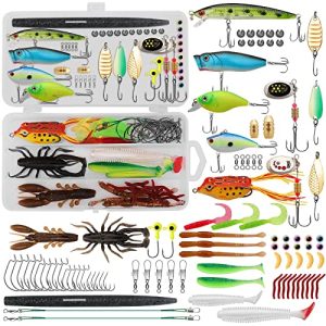 Fishing Lures Equipment with Superior Waterproof Fishing Deal with Storage Field Together with Fishing Hooks Comfortable Worms Crankbait Swimbait Spinner Jigs Frog Lure for Bass Trout Selmon Fishing Presents for Males.