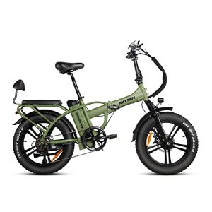 Rattan 750W LM/LF Professional Electric Bike: Unleash the Power and Comfort of 2-Seater Adventures