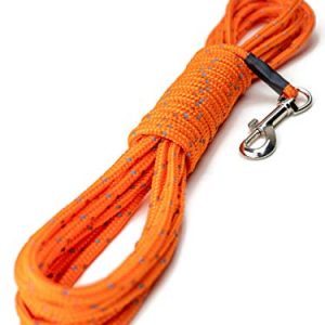 Mighty Paw Test Wire - Master Off-Leash Training with Confidence!