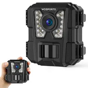 Looking Cam with Night time Imaginative and prescient for Wildlife Monitoring