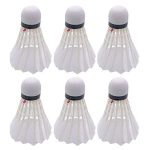 10pcs LED Badminton Balls - Light Up Feather Birdies