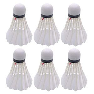 10pcs LED Badminton Balls - Light Up Feather Birdies