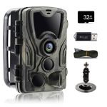 Hunting Trail Camera with Night Vision and Motion Activation Mounted on a Tree in a Forest