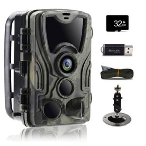 Hunting Trail Camera with Night Vision and Motion Activation Mounted on a Tree in a Forest