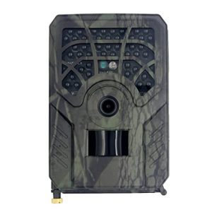 Trail Camera 720P - Wildlife and Security Surveillance