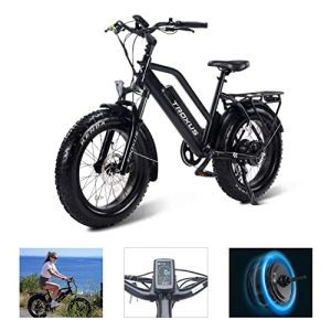 20" x 4.0 Step-Through Fats Tire Ebikes for Adults - E Bike 750W.