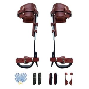 Tree Climbing Game with Upgraded Tree Climbing Spikes and Gear