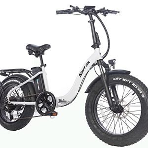 48V 500W 13 Ah 20" x4.0 Folding Fats Tire Step Over/Step-Through Electrical Bicycle Mountain Detachable Battery E-Bike Foldable Snow Electrical Bike (Step-Through White).