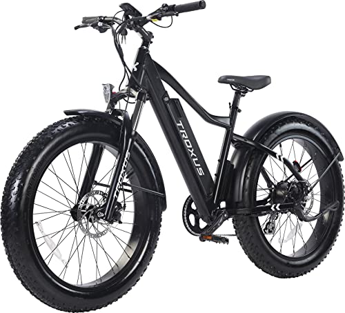 Electrical Bike for Adults, 7 Velocity 26" x 4'' Fats Tire Mountain E-Bike with 750W Highly effective Rear Hub Motor and Disc Brakes, Further Lengthy Vary E Bicycle with 48V 16A Battery.