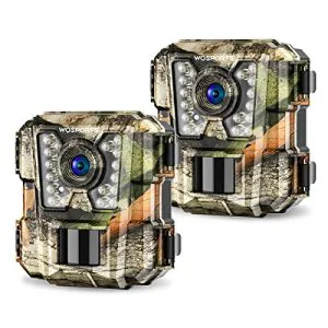 2 Pack Mini Path Digital camera 1080P HD Wildlife Scouting Looking Recreation Digital camera