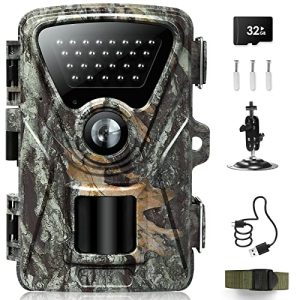Nature's Secret Revealed: 28MP Path Camera with Hyper Night Vision