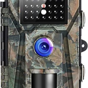 Capture the Wild: 16MP 1080P Trail Camera with No Glow