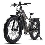 High-Performance 750W Electric Bike - Unleash