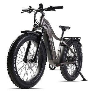 High-Performance 750W Electric Bike - Unleash