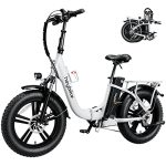 Ranger Electric Bike for Adults - Your Ticket to Adventure
