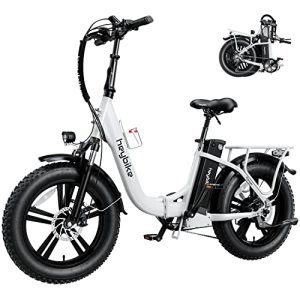 Ranger Electric Bike for Adults - Your Ticket to Adventure