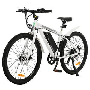 Powerful 350W 36V E-Bike with Removable Battery