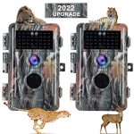2-Pack Night Vision Trail Game Cameras: 24MP