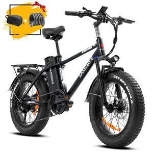 750W Electric Bike for Trail Riding: 65-Mile Range, 20" Fat Tires, Dual Disc Brakes!