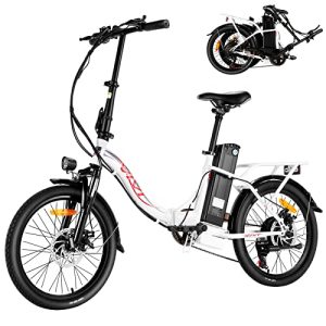 Electric Bike: The Ultimate 500W Electric Cruiser