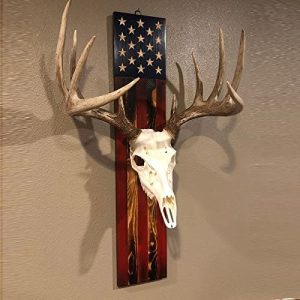 European Trophy Mount Plaque Skull Hanger Kit