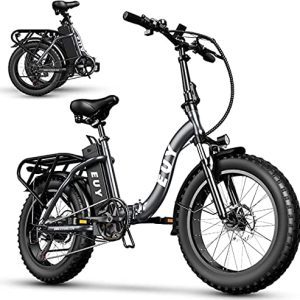 750W Electric Bike for Adults - 48V 16Ah Detachable Battery, 30MPH Fat Tire E-Bike, 20'' Step-Through Folding  - Perfect for Snow and More