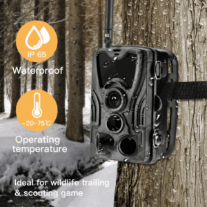 4G trail camera mounted outdoors, capturing wildlife with infrared night vision and live video streaming via mobile app.