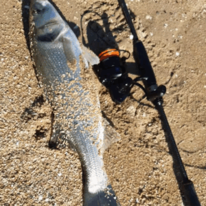 PURELURE NEW FLIGHT DANCE 10FT Carbon Spinning Rod – Perfect for long-distance bass fishing, equipped with Fuji guides and reel seat.